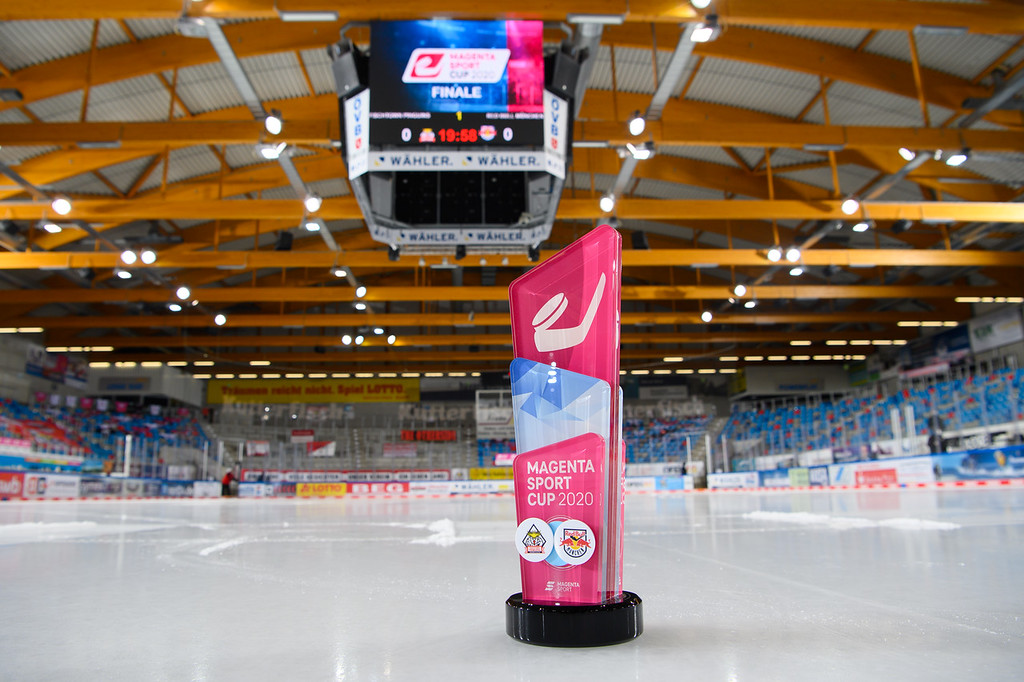 DEL 25Jahre Logo silber