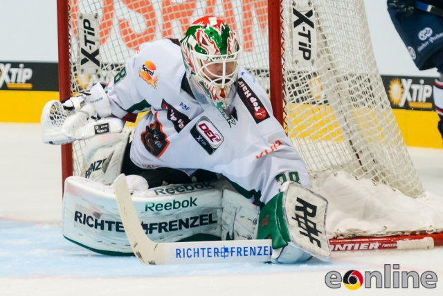 augsburg goalie 15 16