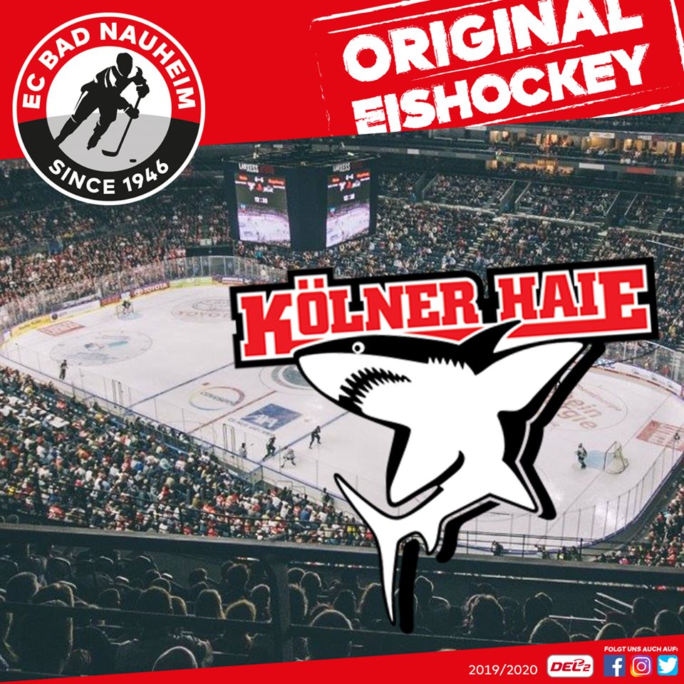 ecn del haie