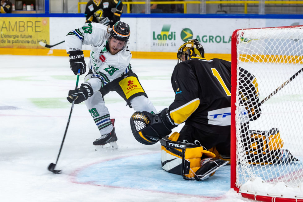 steelers ajoje IMG 3779 980x654