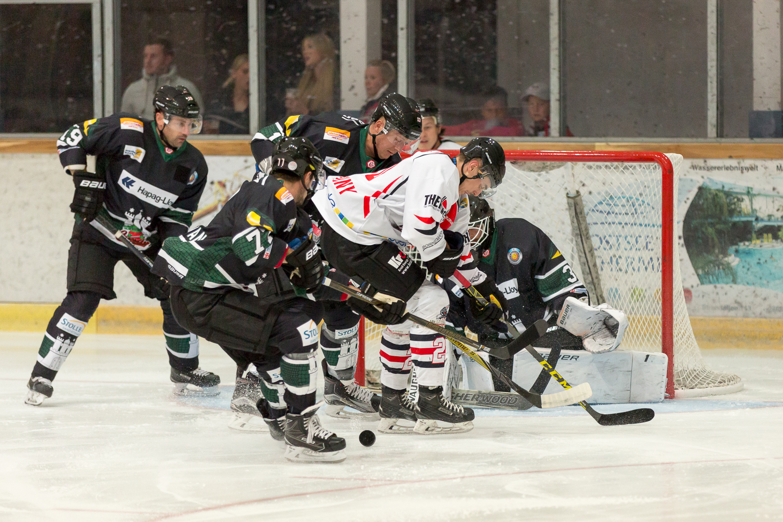 KF Pre2017 EHCT06 Crocodiles Hamburg 7