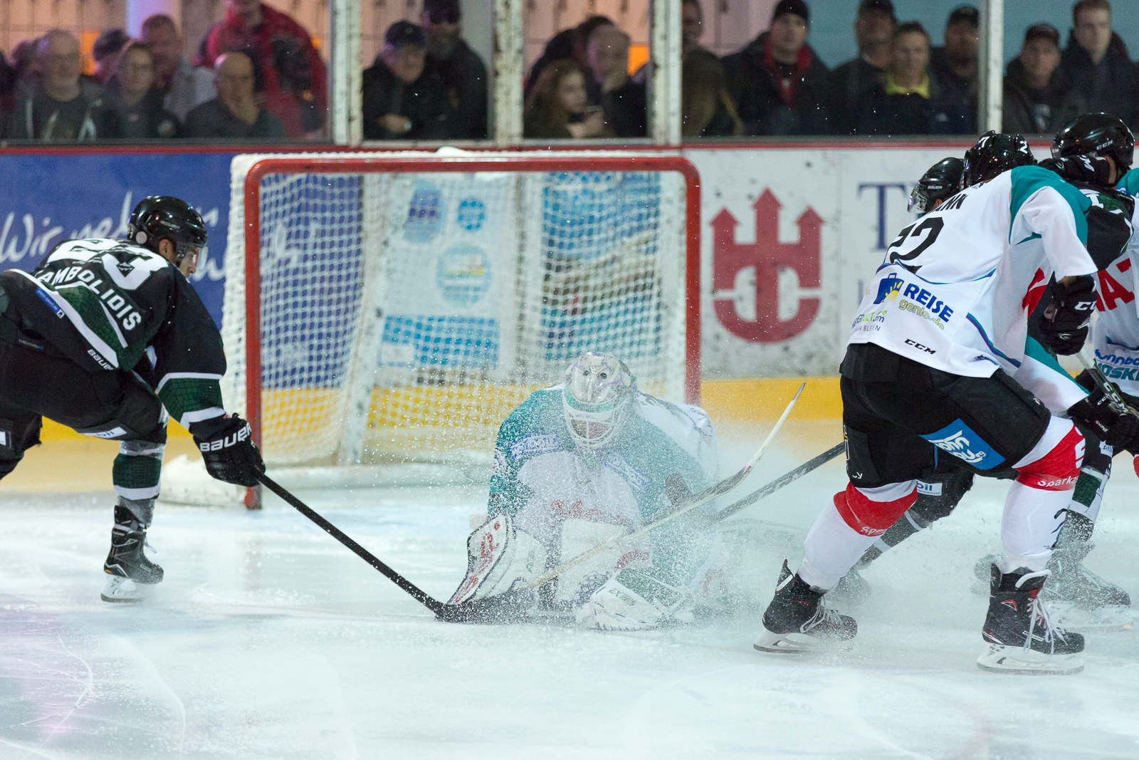 KF 12 SP Corocodiles Hamburg Moskitos Essen