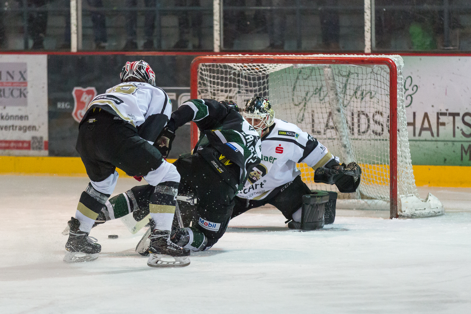 KF 14 SP Quali Crocodiles Black Dragons EOL.jpg