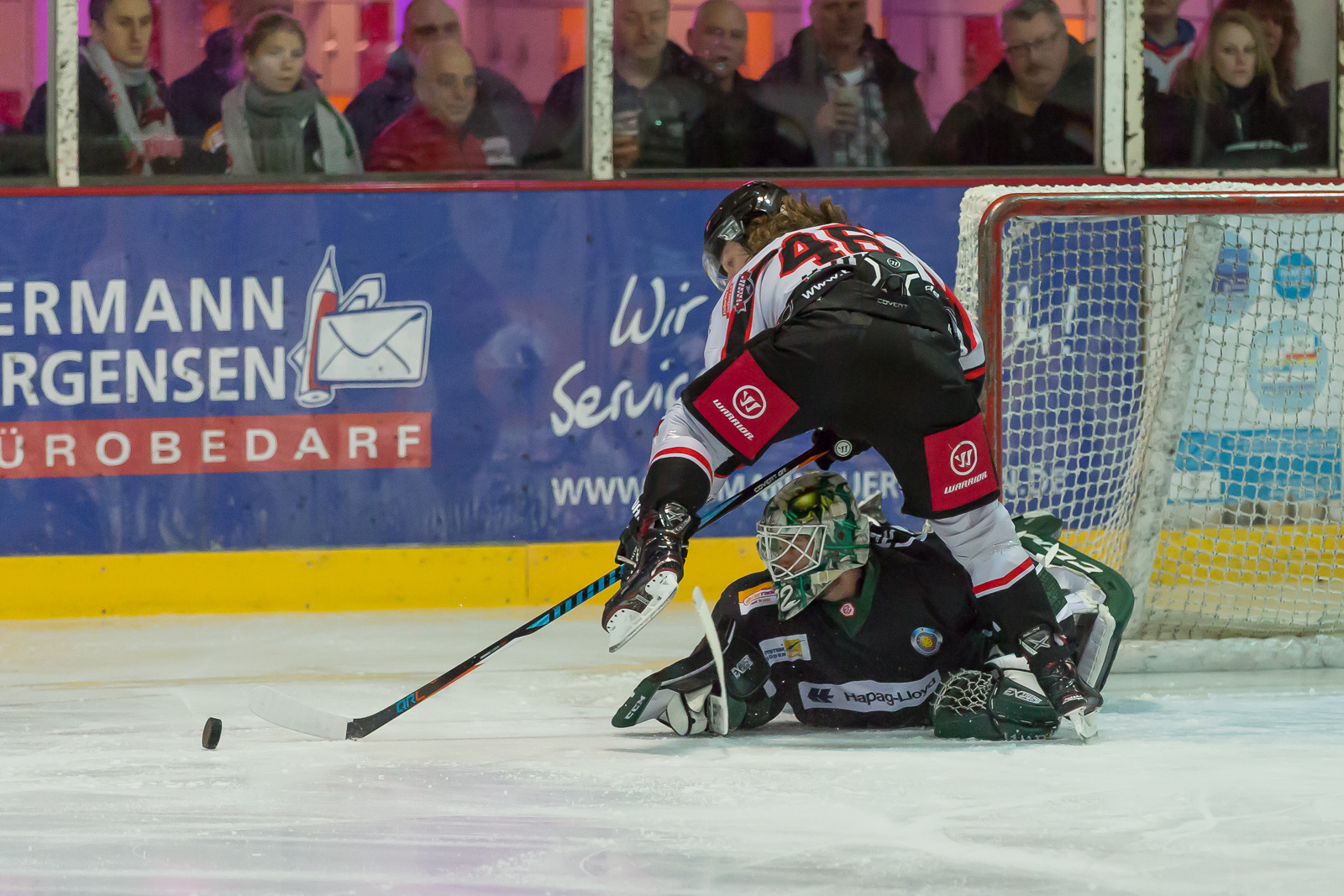 KF 5 SP Quali Crocodiles Harzer Falken eol