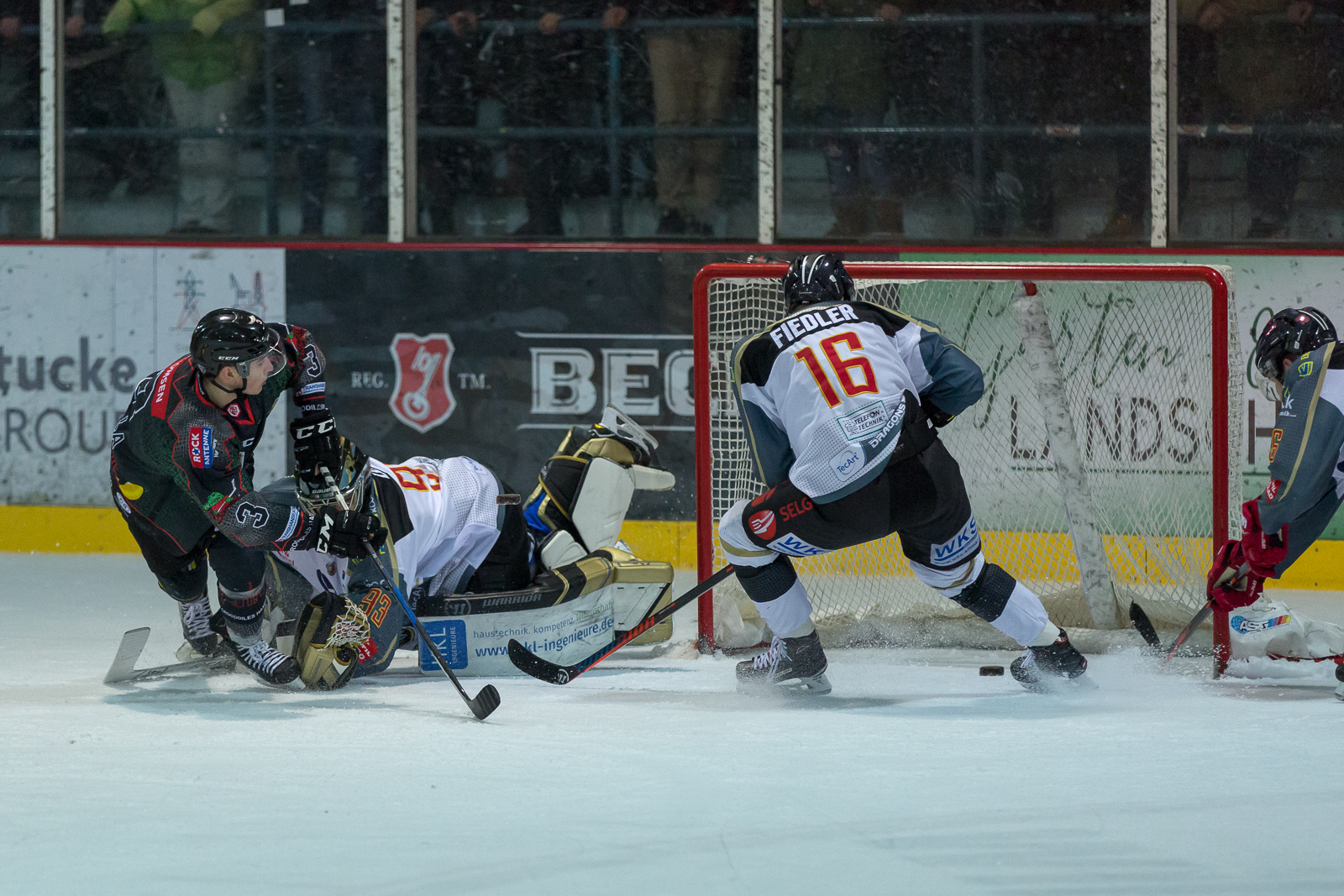 KF Crocodiles Black Dragons EOL