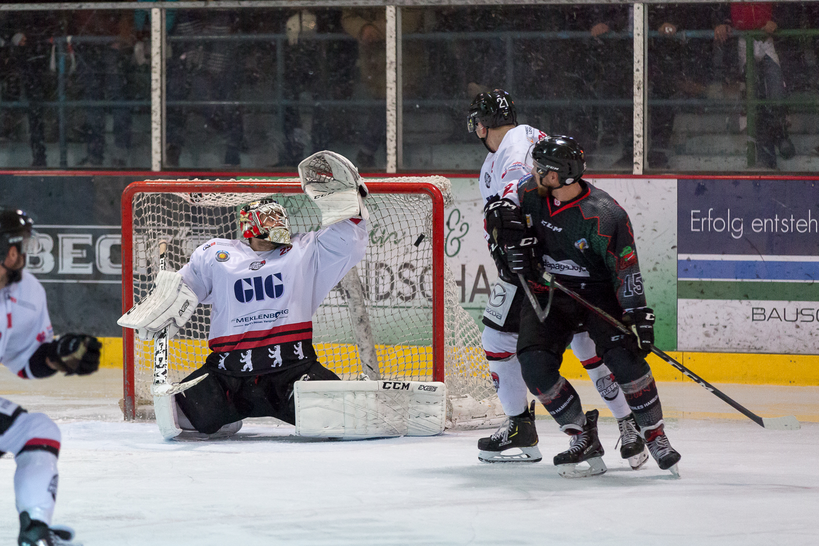 KF Crocodiles Hamburg Preussen Berlin eol