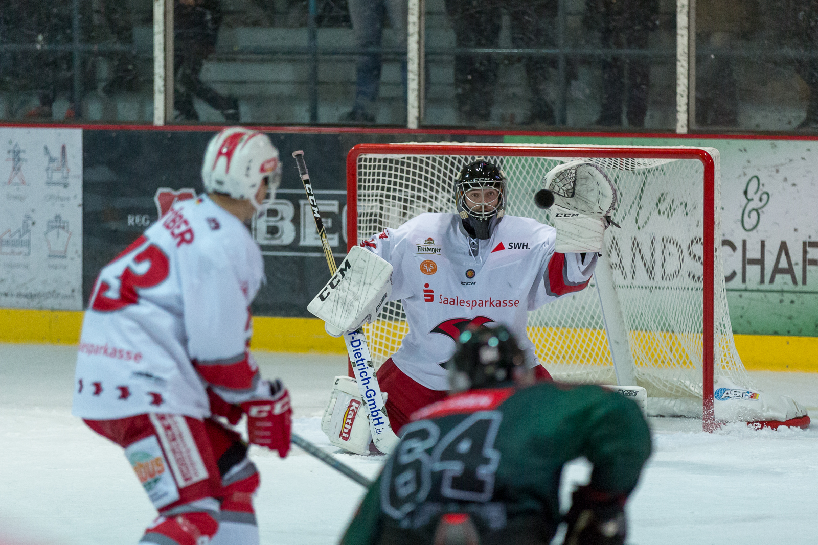 KF Crocodiles Hamburg Saale Bulls EOL