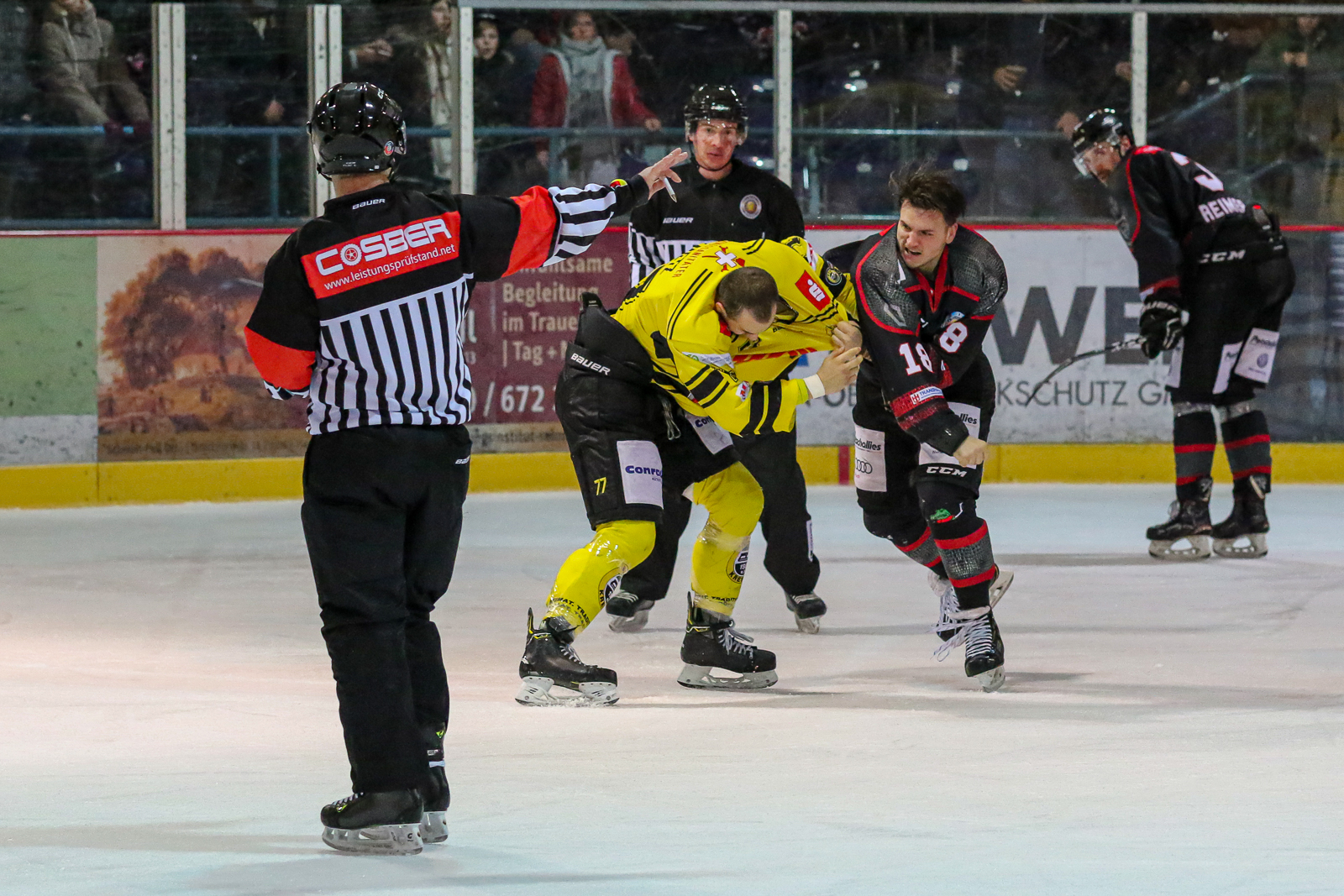 FH Eishockey OL Nord Crocodiles Hamburg Krefelder EV 81 eol