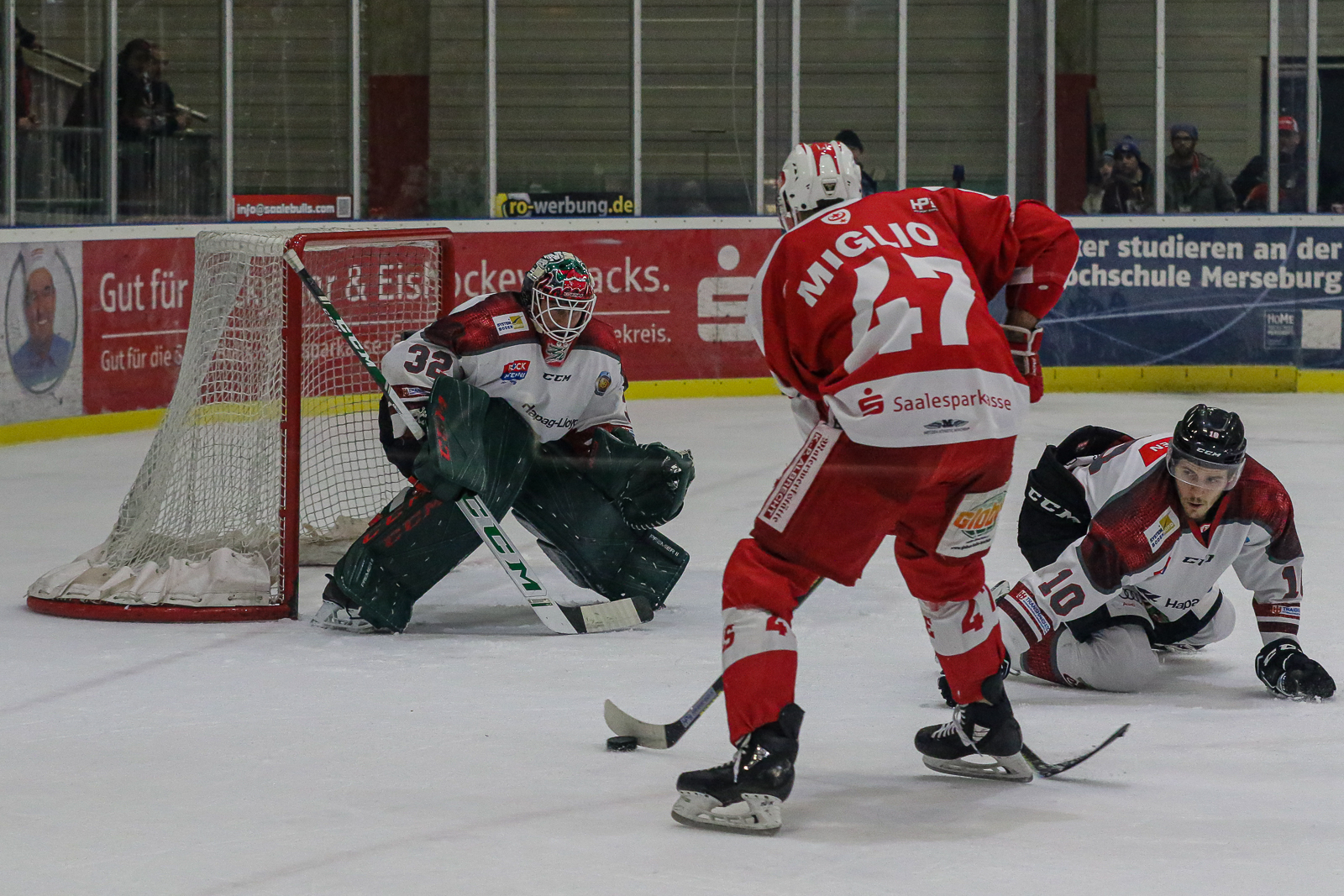 FH Eishockey OL Nord Saale Bulls Leipzig Crocodiles Hamburg eol