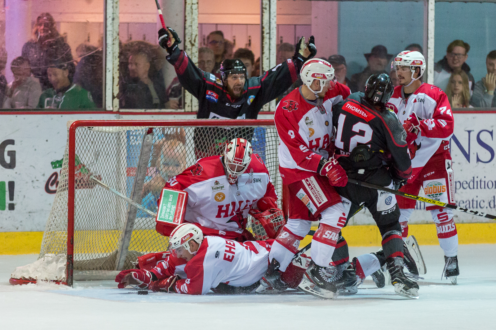 KF Eishockey Crocodiles Hamburg Saale Bulls Halle