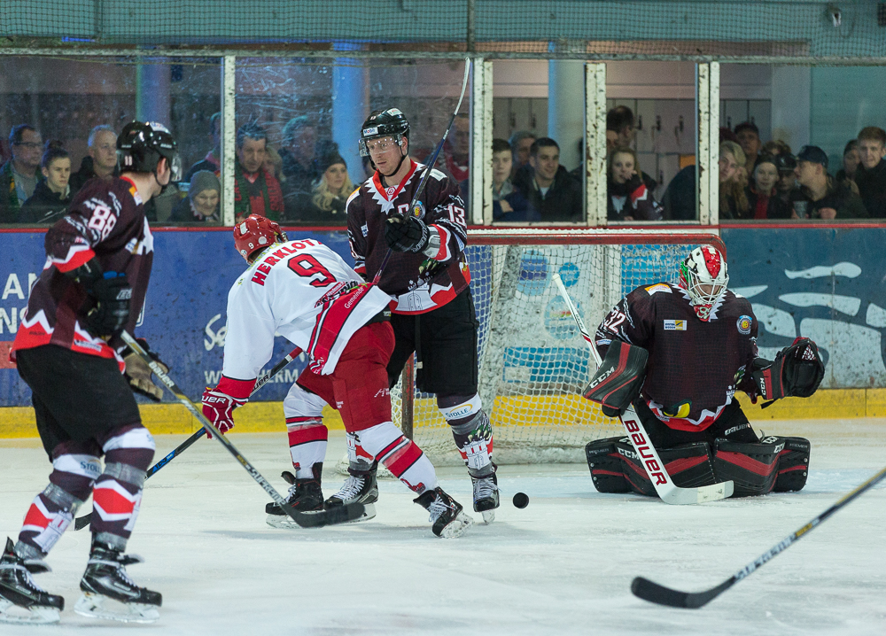 Crocodiles Scorpions 3