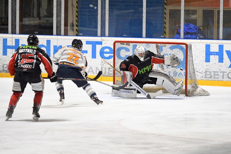 koenigsbreunn waldkr 25012019