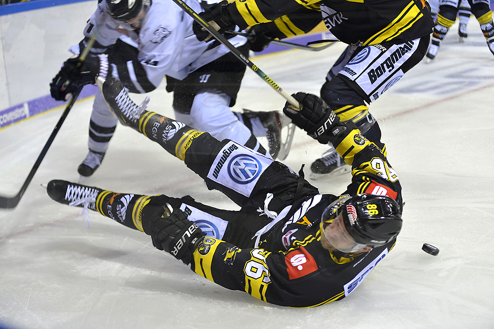 kev icetigers 21112019