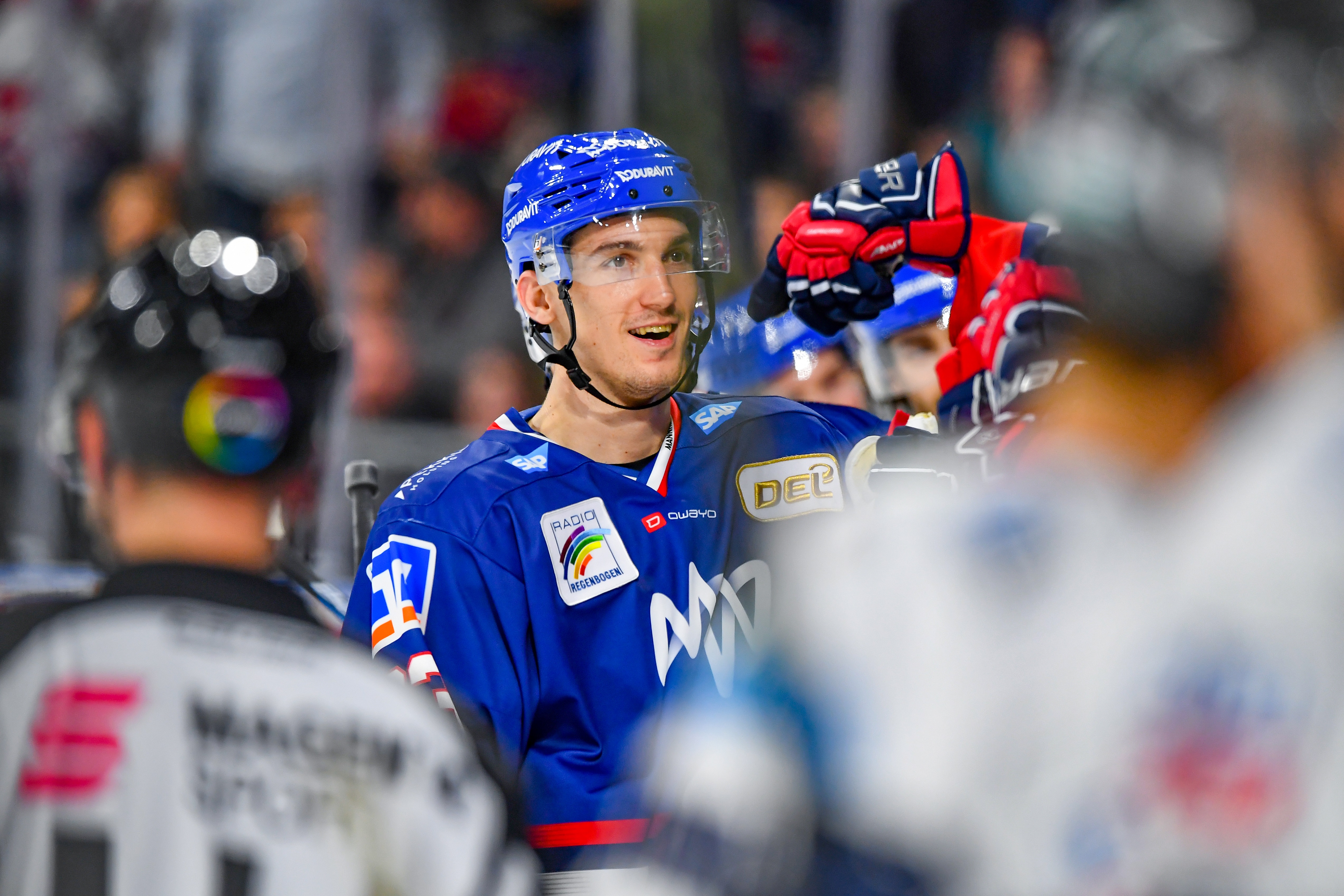 Borna Rendulic Binder