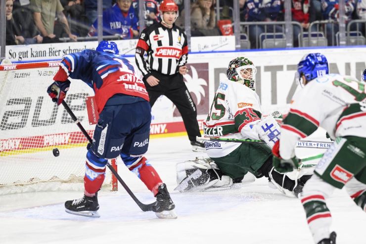 thumbnail MSP 1612 Adler 11