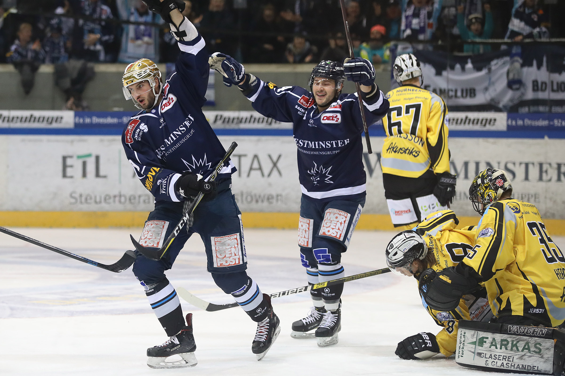 dresdner eisloewenIMG 6012