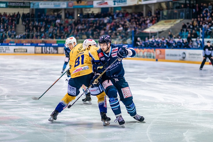 Eisloewen Fuechse Ben Gierig