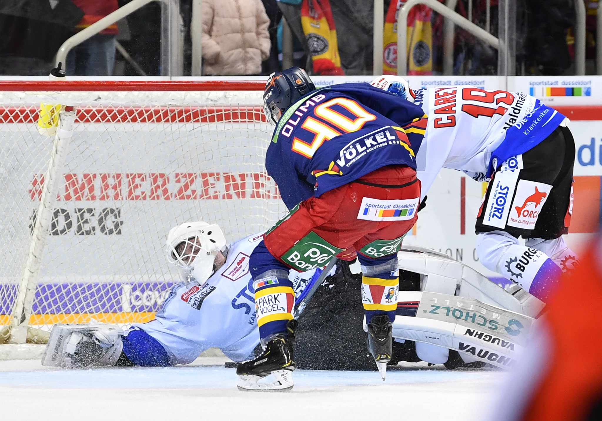 DEG WildWings 0311.19