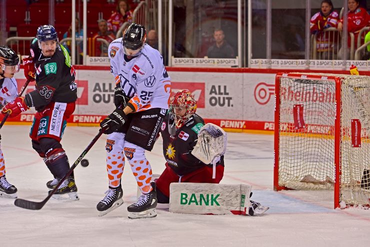 312754837 861079868250891 6486438687765558003 n