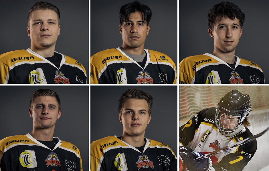 Sechs auf einen Streich