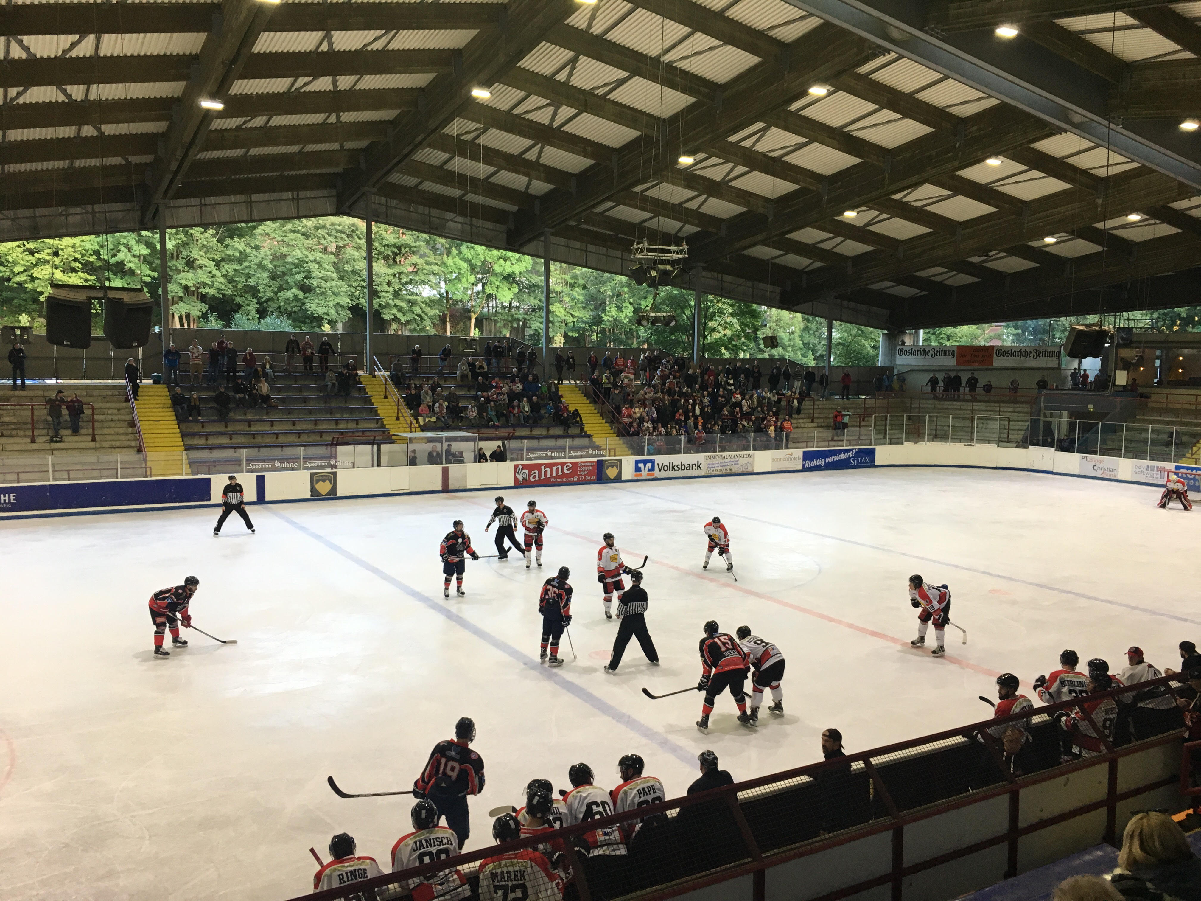 Harz. Scorpions 10.09.2017