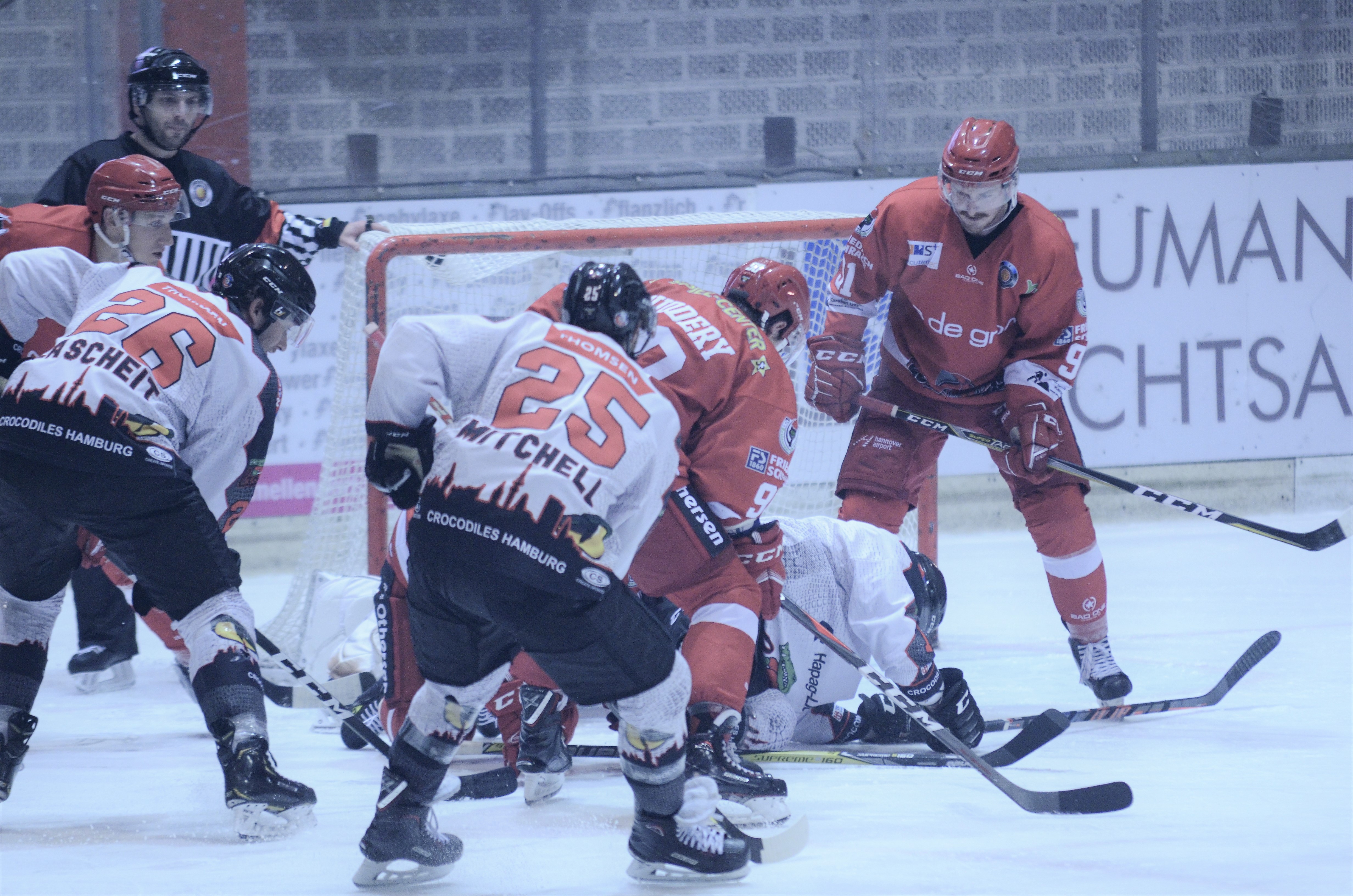 Spielbild Scorpions Hamburg 30.11.2018