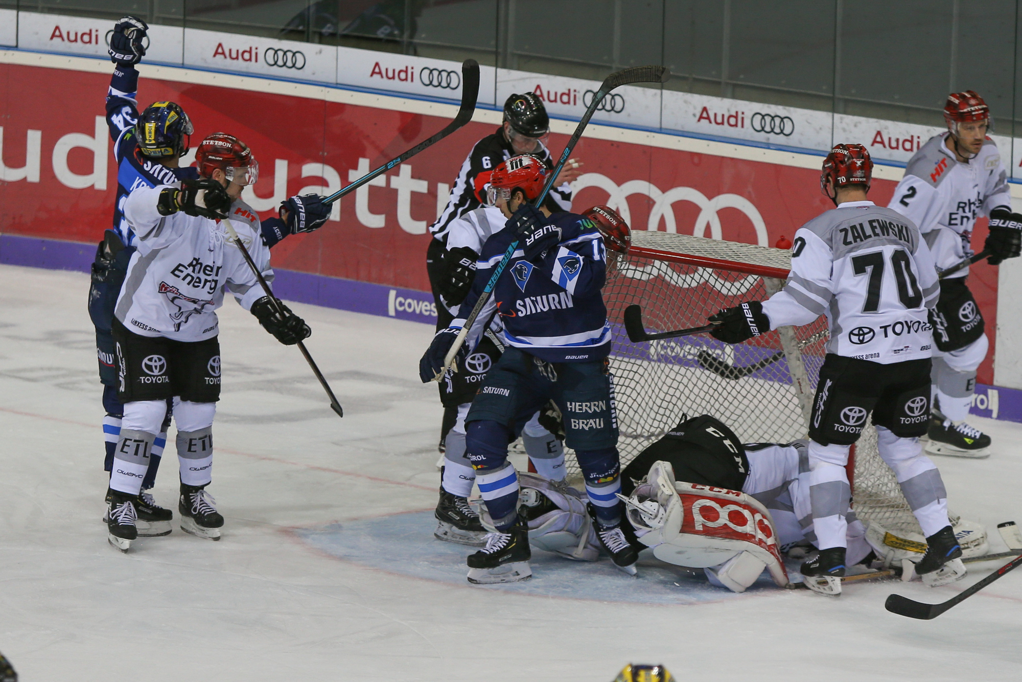 ingol haie 20012019 JUXX0473