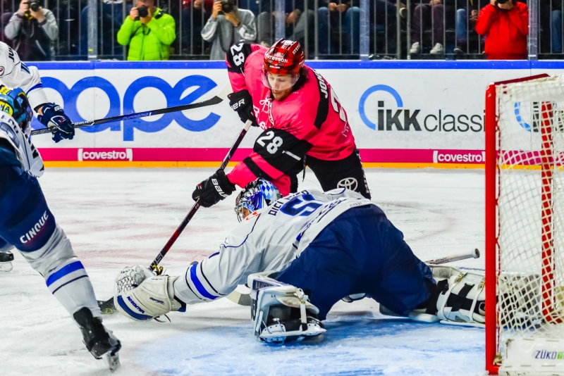 haie ingolstadt 31102017