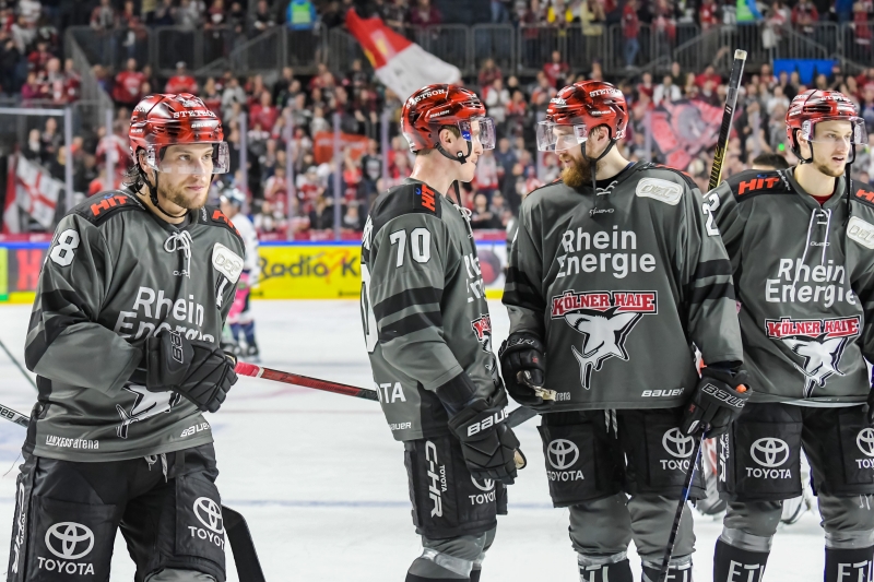 koelner haie schwarz2018