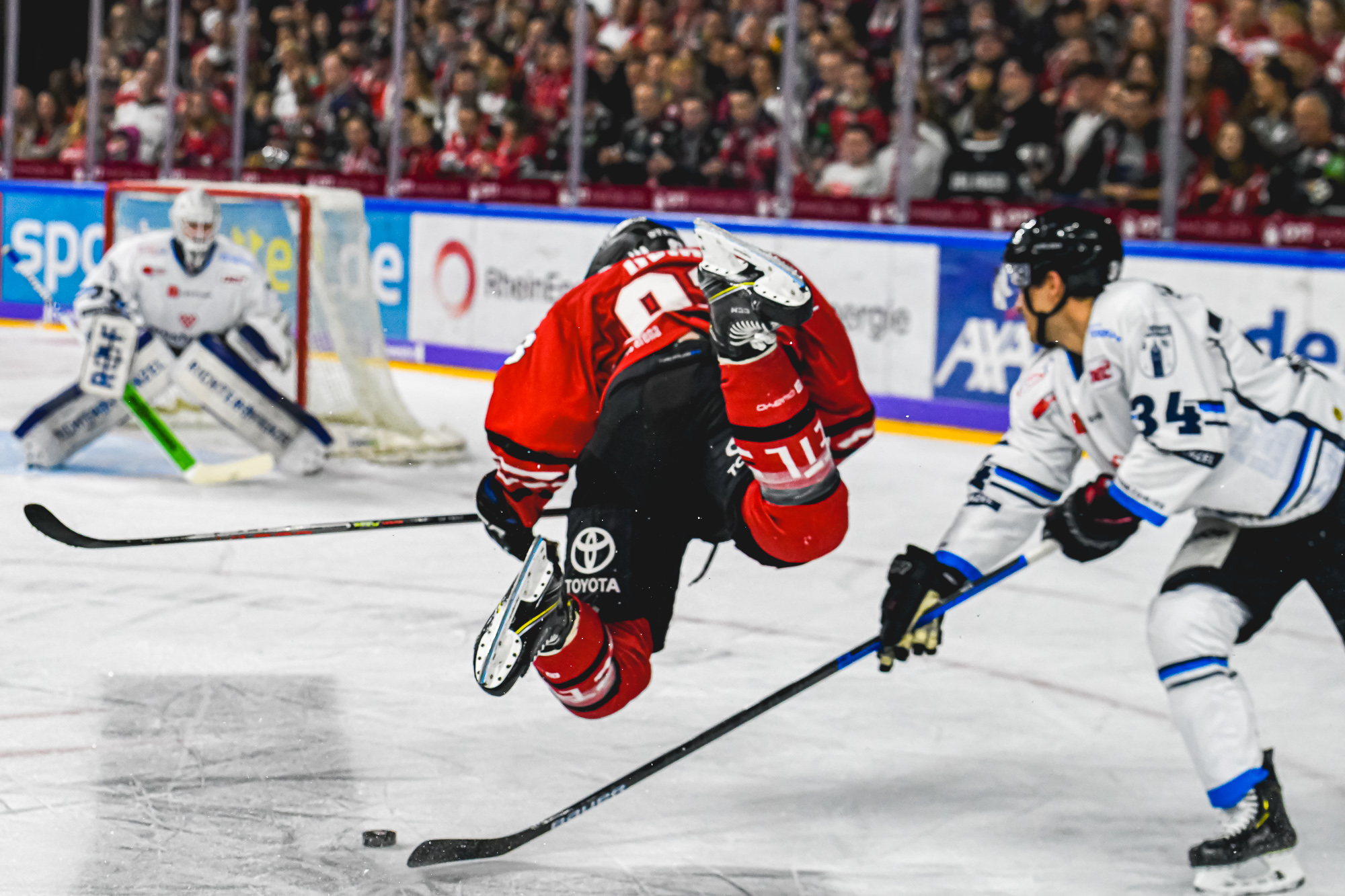 16 DSC 9070 20191117 DEL KEC vs Straubing Tigers