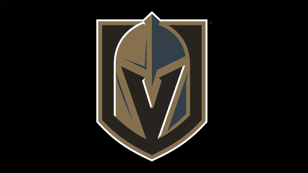 Neues Team Vegas Golden Knights vorgestellt