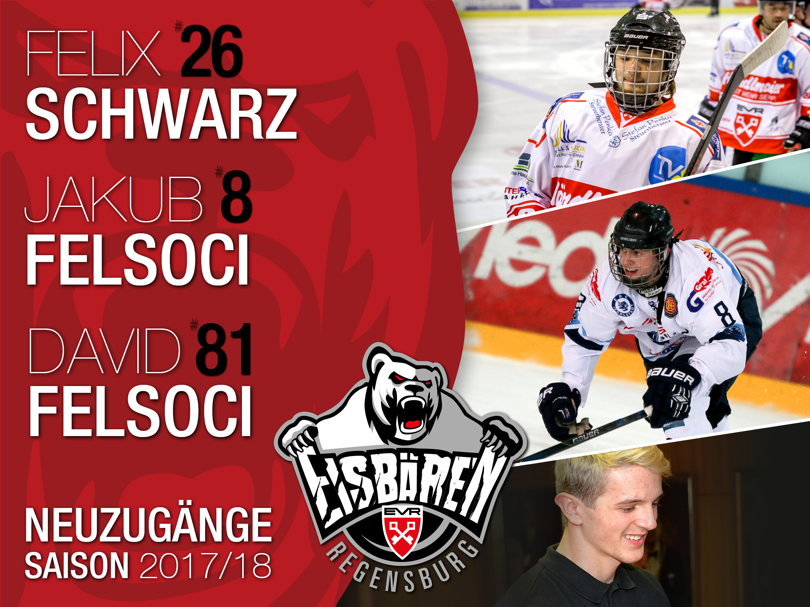 Neuzugaenge 26 8 und 81