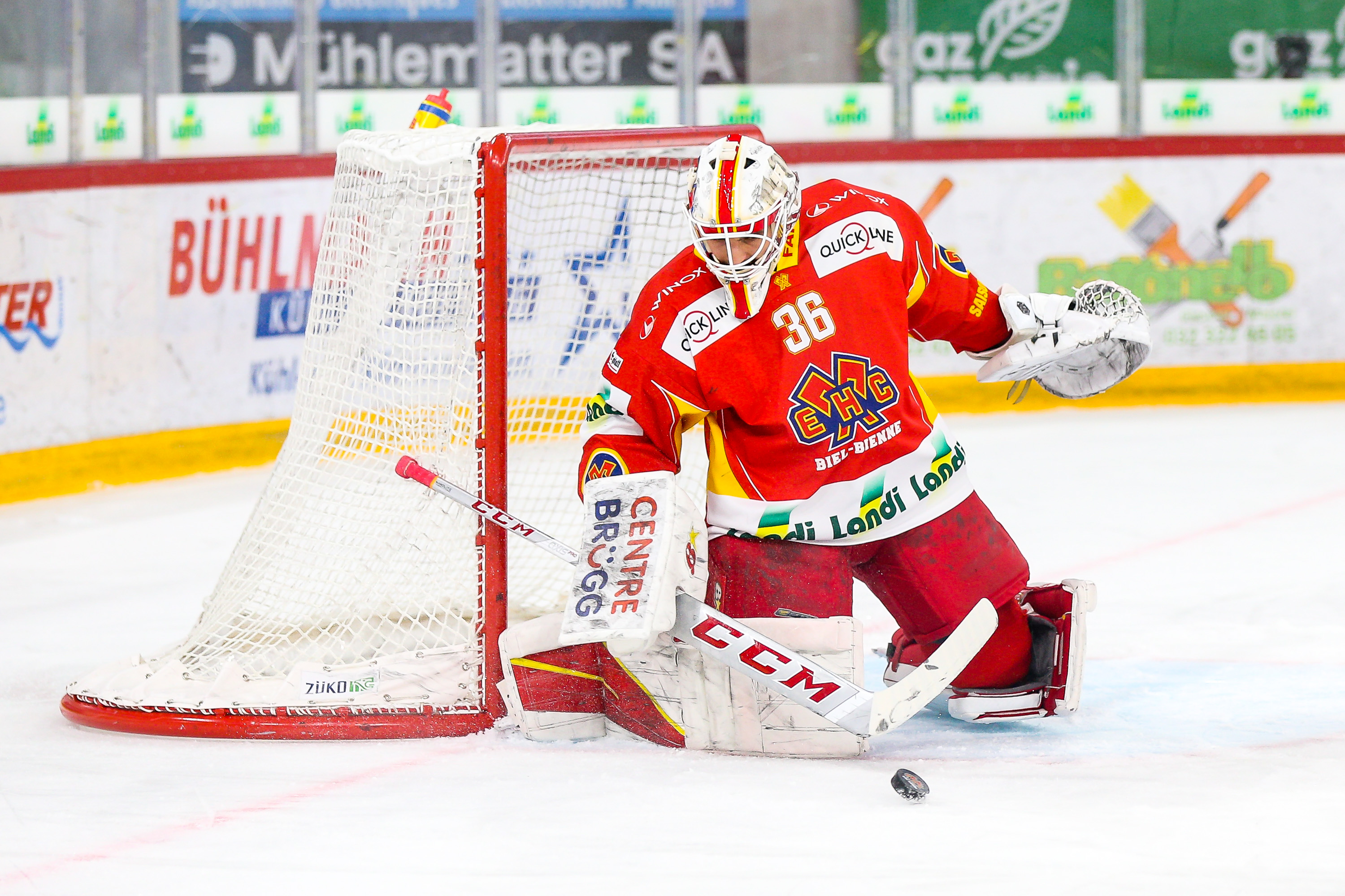 van pottelberghe joren