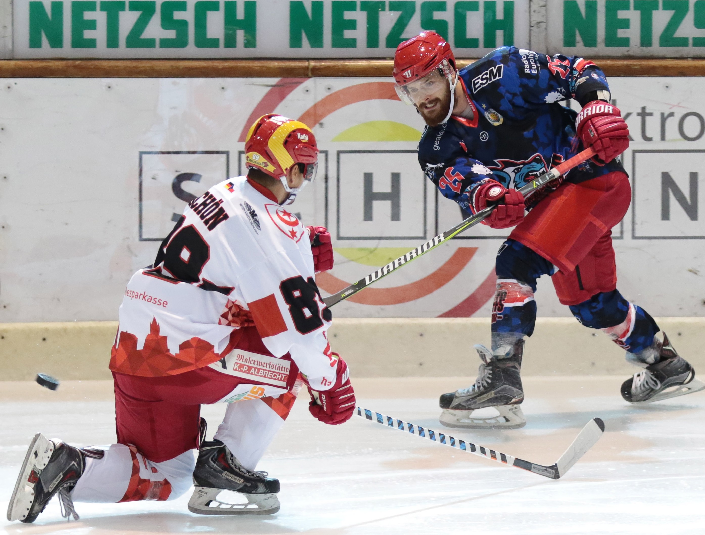 Selber Wölfe Halle 001