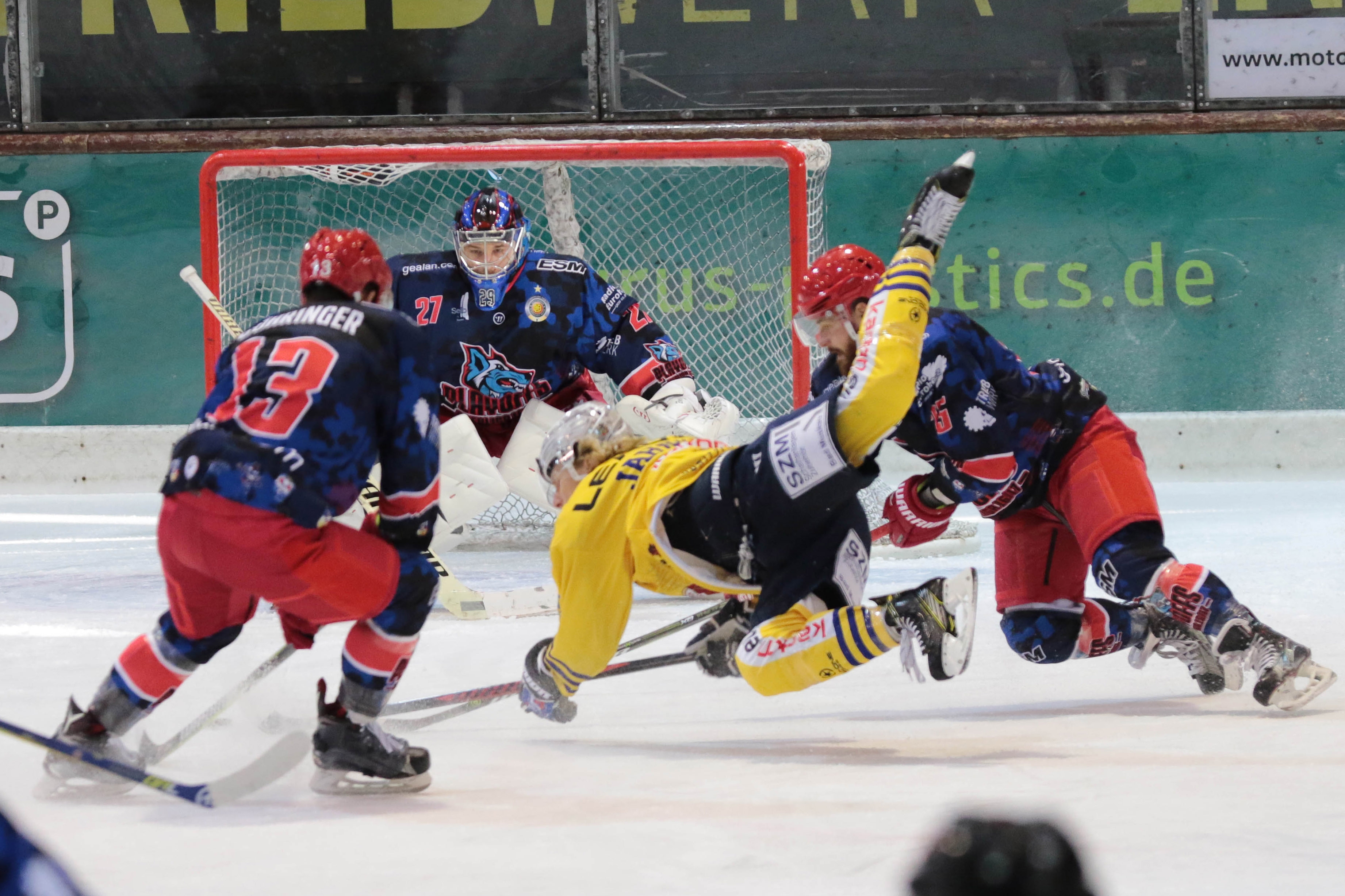 Selber Wölfe Lausitzer Füchse 001