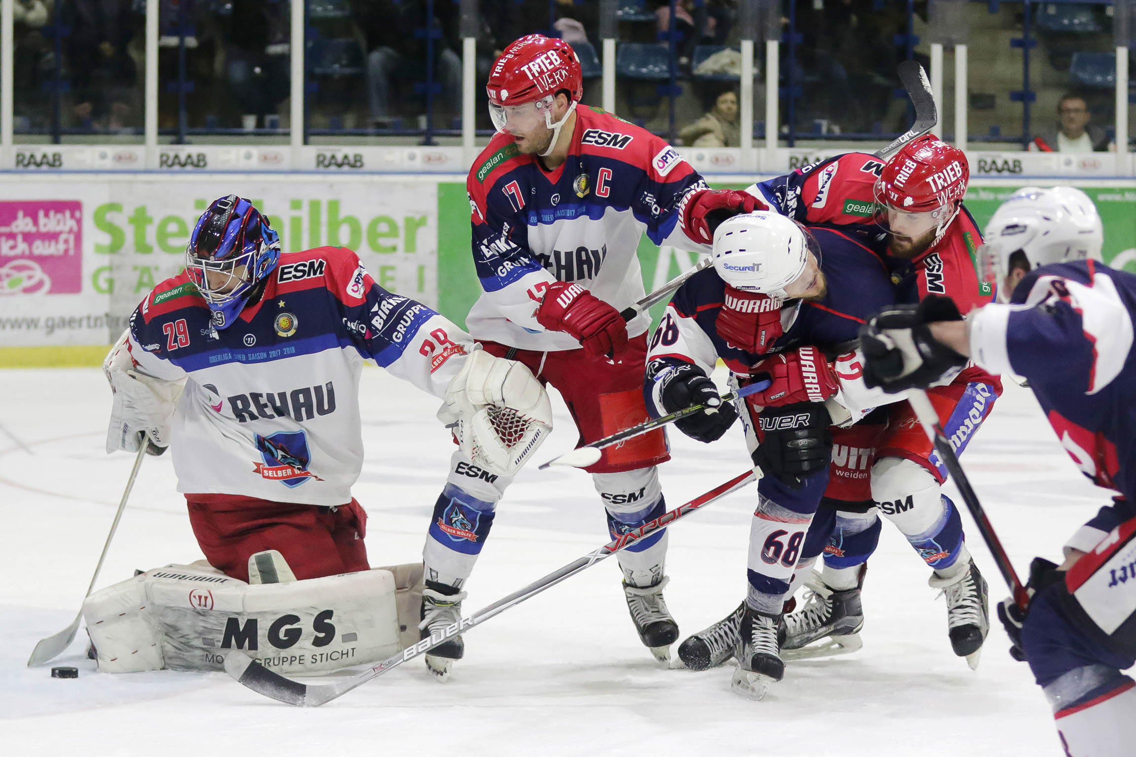 Weiden Selb 14 01 2018 003