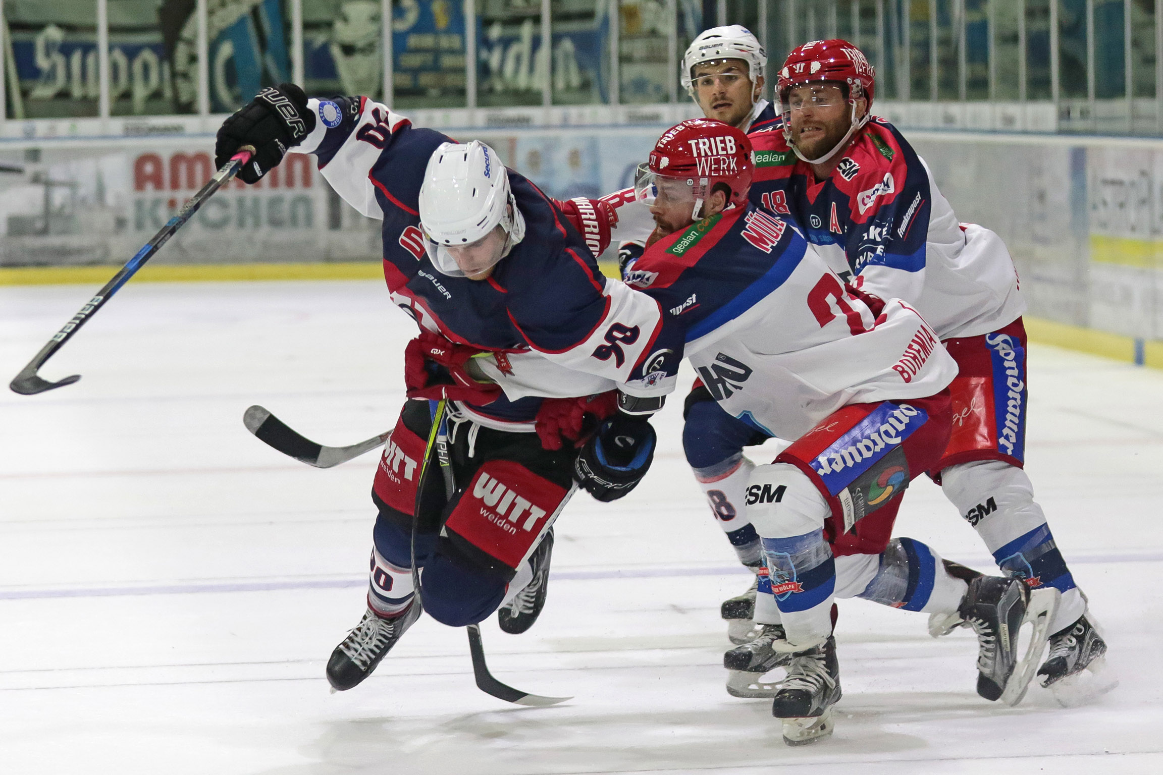 Weiden Selb 20 10 2017 004