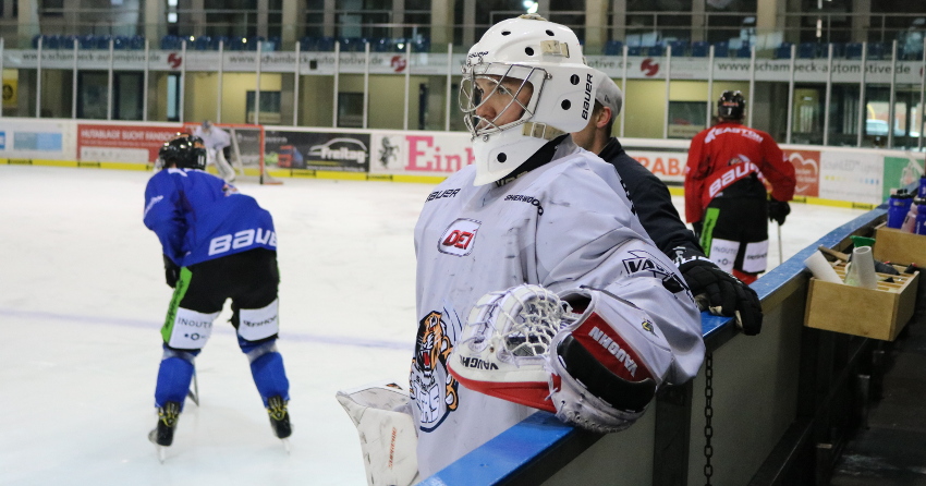 Hieronymus straubing