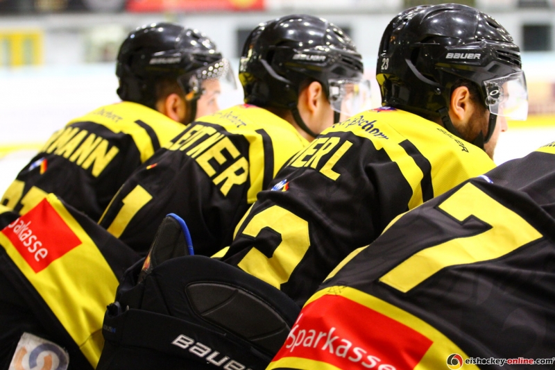 toelzer loewen bank2016