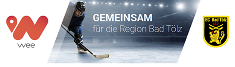 wee toelz banner 2017