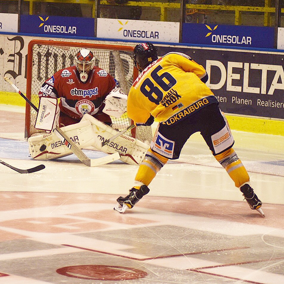 Landshut Wald 271017 3