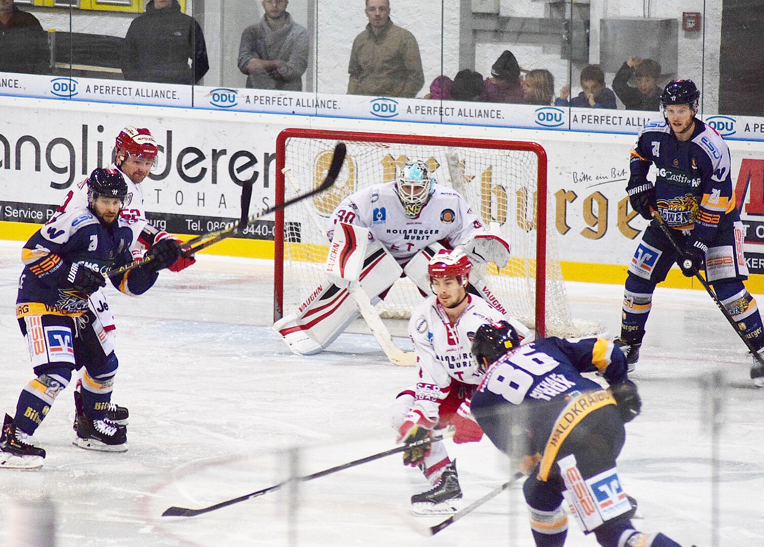 Wald Miesbach 201017