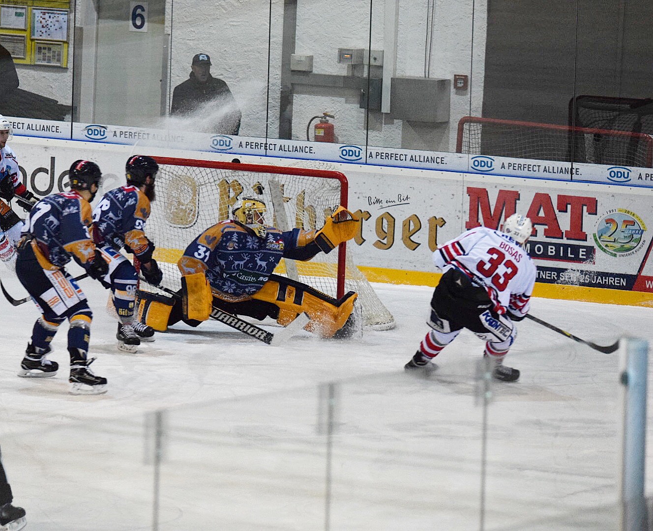 Wald Regensburg 151217