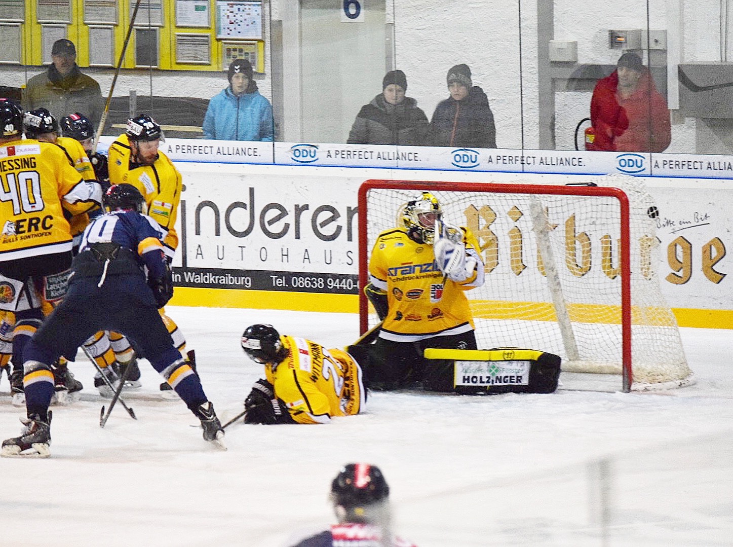 Wald Sonthofen 051218