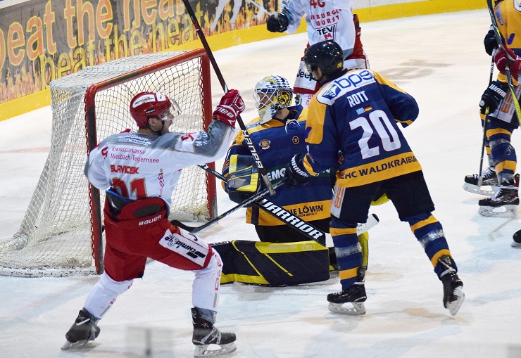 Wald Miesbach 200119