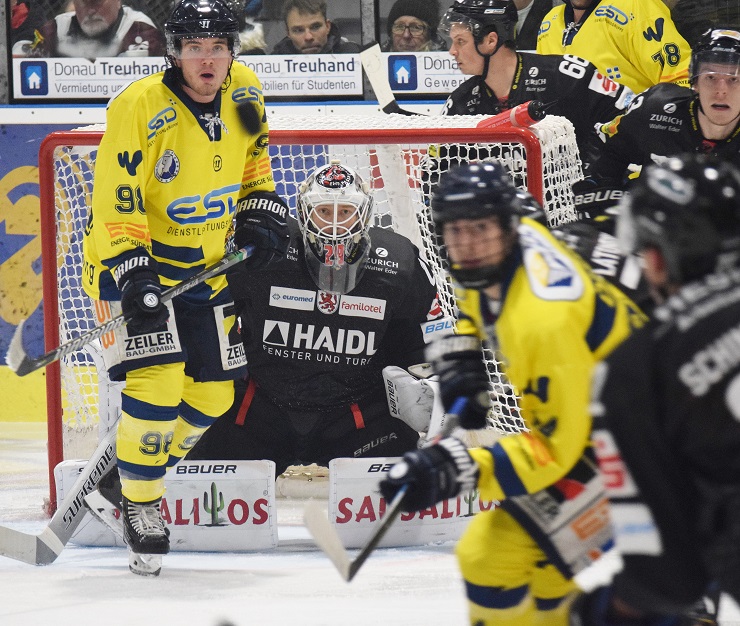 Wald Passau 241119 2