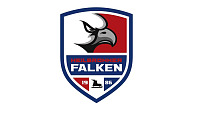 Heilbronner Falken Logo