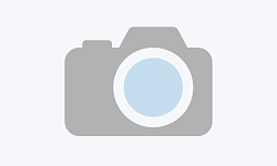 Voreingestelltes Bild